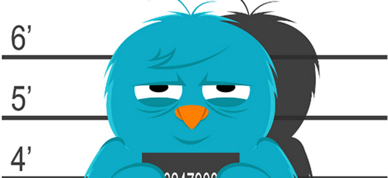Seguidores falsos